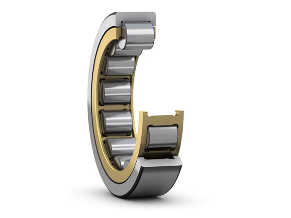 Single Row Cylindrical Roller Bearings Without Inner Ring